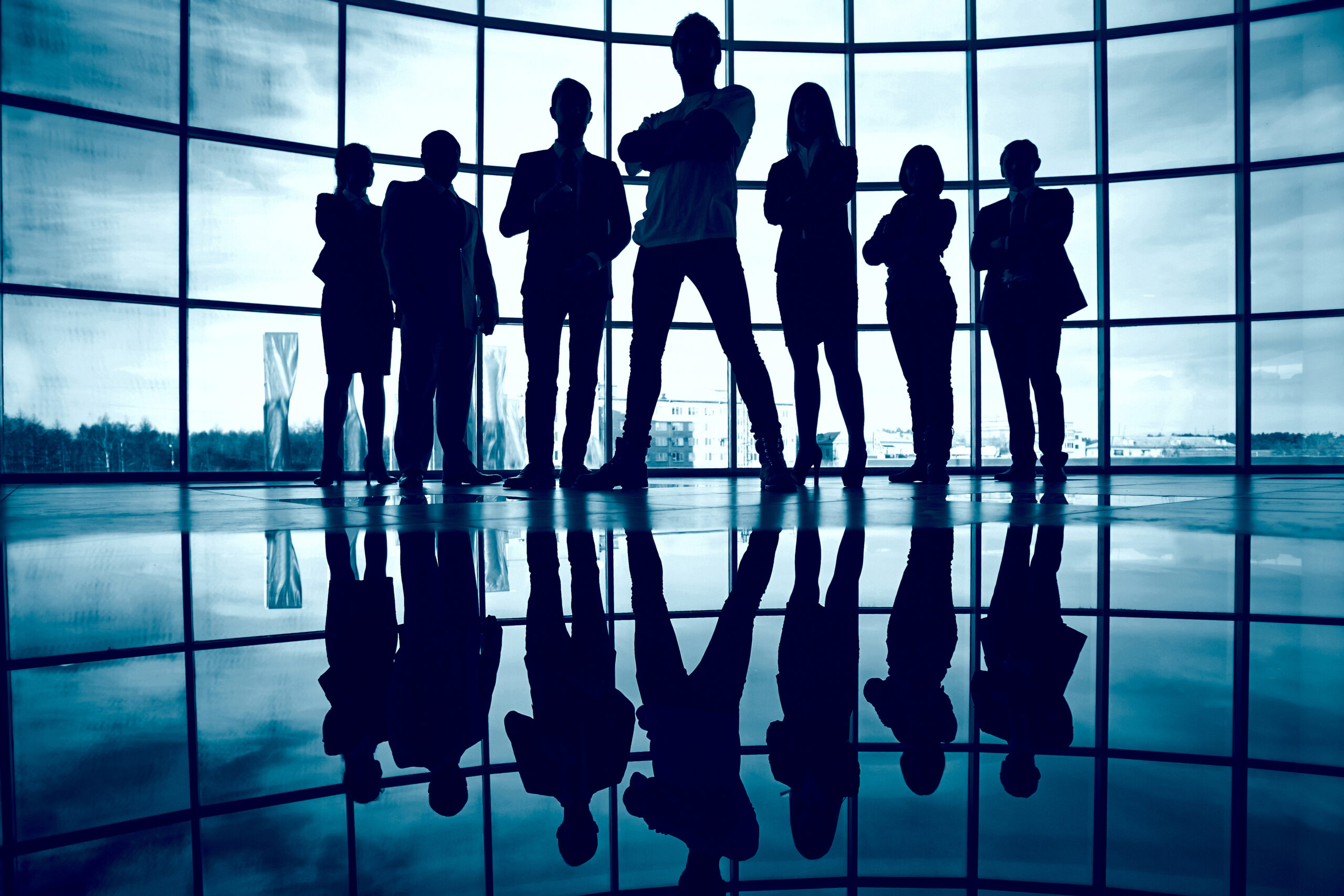 silhouette confident businesspeople scaled